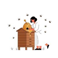 Beekeeper harvesting honey from hive in flat art style vector