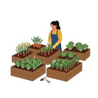 Gardener tending to vegetable boxes in flat style illustration vector