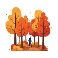 Person walking through colorful autumn forest in flat art. vector