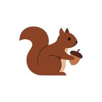 Squirrel holding an acorn in flat minimal art style illustration vector