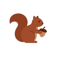 Cute squirrel holding an acorn in flat and minimal style art vector