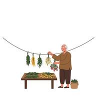 Elderly man arranging colorful vegetables in flat minimal art vector