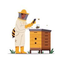 Beekeeper inspecting hive with bees in flat style illustration vector