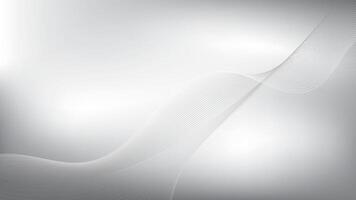 Abstract white and gray color, modern design stripes background with curve lines, wavy pattern, illu vector