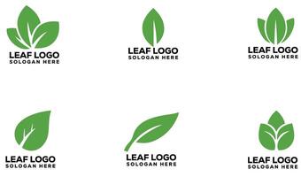 Natural Green Leaf Logo Set with Abstract Botanical Elements for Design Projects vector
