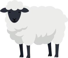 Cute black-faced sheep in flat design style standing on a white background illustration vector