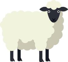 Cute fluffy sheep standing on green grass in a minimal flat design illustration vector