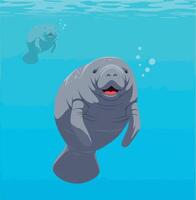 Manatees swimming gracefully in clear blue waters with a flat illustration style vector