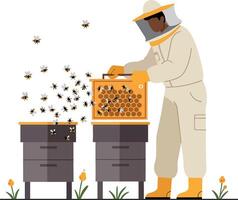 Beekeeper tending to hives in a garden setting with bees flying around, flat illustration vector