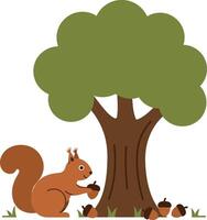 Squirrel happily gathering acorns under a large green tree in a flat illustration vector