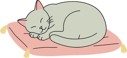 Sleeping grey cat curled up on a pink cushion in minimal illustration vector