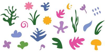 Set of botanical elements designs. Colorful spring flowers in the form of wildflowers, leaves and leaf branches isolated on white vector