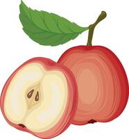 red apple, isolated on a white background, apple Illustration vector