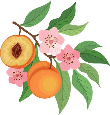 peach tree branch with peach, flowers and leaves