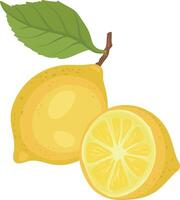 lemon design, citrus fruits isolated vector