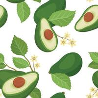 Seamless pattern with avocado brunch and flowers fruit, whole and split avocados vector