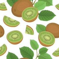 Seamless pattern with Fresh and tasty kiwi, fruit brunch. vector