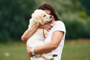 Puppy is, in hands. Woman, with ,cute little golden retriever dog is on the green field photo