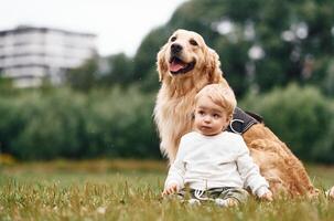 Sitting ,on the ground. Little boy with golden retriever dog on the field photo