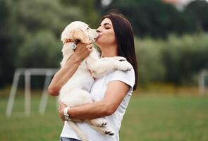 Puppy, is in hands. Woman with cute little golden retriever dog is on the green field photo