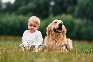 Sitting on, the ground. Little boy with golden retriever dog on the field photo