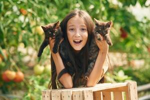 Two kittens in hands. Little girl is in the garden with tomatoes photo