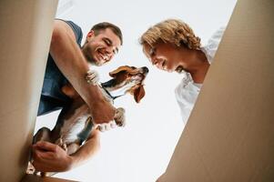 Looking, into, the box. Young couple with dog are moving to new home photo