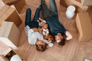 Between, boxes, lying down. Young couple with dog are moving to new home photo