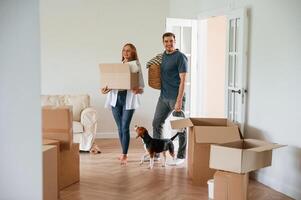 In the ,big room, with boxes in hands. Young couple with dog are moving to new home photo