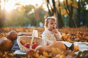 Little, girl is sitting ,in the autumn park on the ground with butternut squash, basket of apples and pears photo