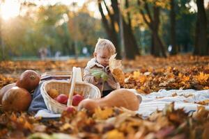 Little boy ,is, sitting in the autumn park with butternut squash photo