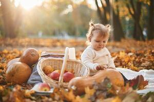 Little girl is sitting in the, autumn park on the ground with butternut squash, basket of apples and pears photo