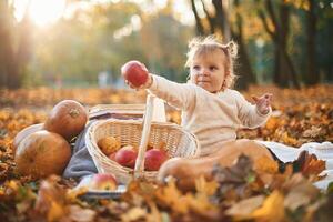 Little, girl, is sitting in the autumn park on the ground with butternut squash, basket of apples and pears photo