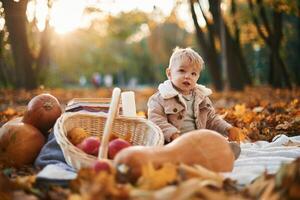 Little boy is sitting in, the ,autumn park with butternut squash photo
