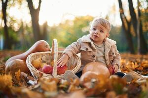 With basket, of apples and pears. Little boy is sitting in the autumn park with butternut squash photo
