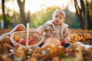 With, basket of apples and pears. Little boy is sitting in the autumn park with butternut squash photo