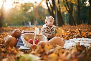 Little, boy is sitting in the autumn park with butternut squash photo