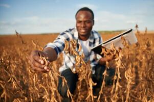 Notepad, with documents in hands,, checking wheat. Beautiful African American man is in the agricultural field photo