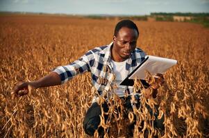 Notepad with documents in ,hands,, checking wheat. Beautiful African American man is in the agricultural field photo