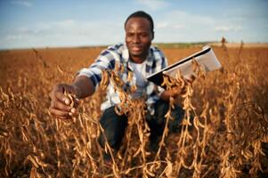 Notepad with, documents in hands, checking wheat. Beautiful African American man is in the agricultural field photo