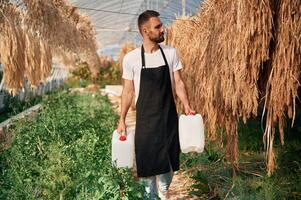 Watering cans in hands. Walking between dried plants. Young gardener is in the greenhouse photo