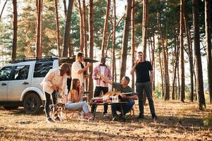 Drinking, eating, playing ,with ,dog. Group of friends are together in the forest photo