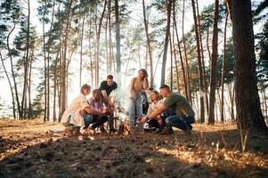 Roast ,marshmallows on fire. Group of friends are together in the forest photo