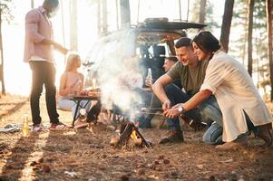With, marshmallows, on sticks,, roast. Group of friends are together in the forest photo