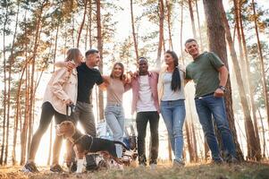 Standing, fun, with dog. Group of friends are together in the forest photo