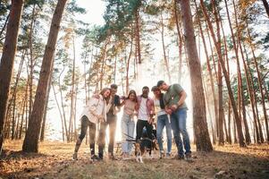 Standing, fun with dog.. Group of friends are together in the forest photo
