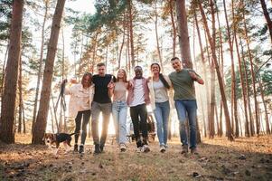 Full height, photo, standing with dog. Group of friends are together in the forest photo