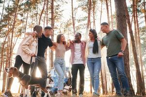 Full ,height photo, standing with dog. Group of friends are together in the forest photo
