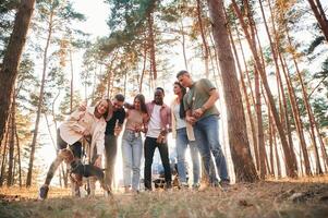 Standing, fun with ,dog. Group of friends are together in the forest photo