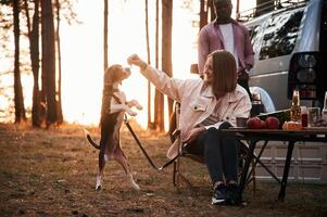 Man and woman are together, in the forest with the dog near the car photo
